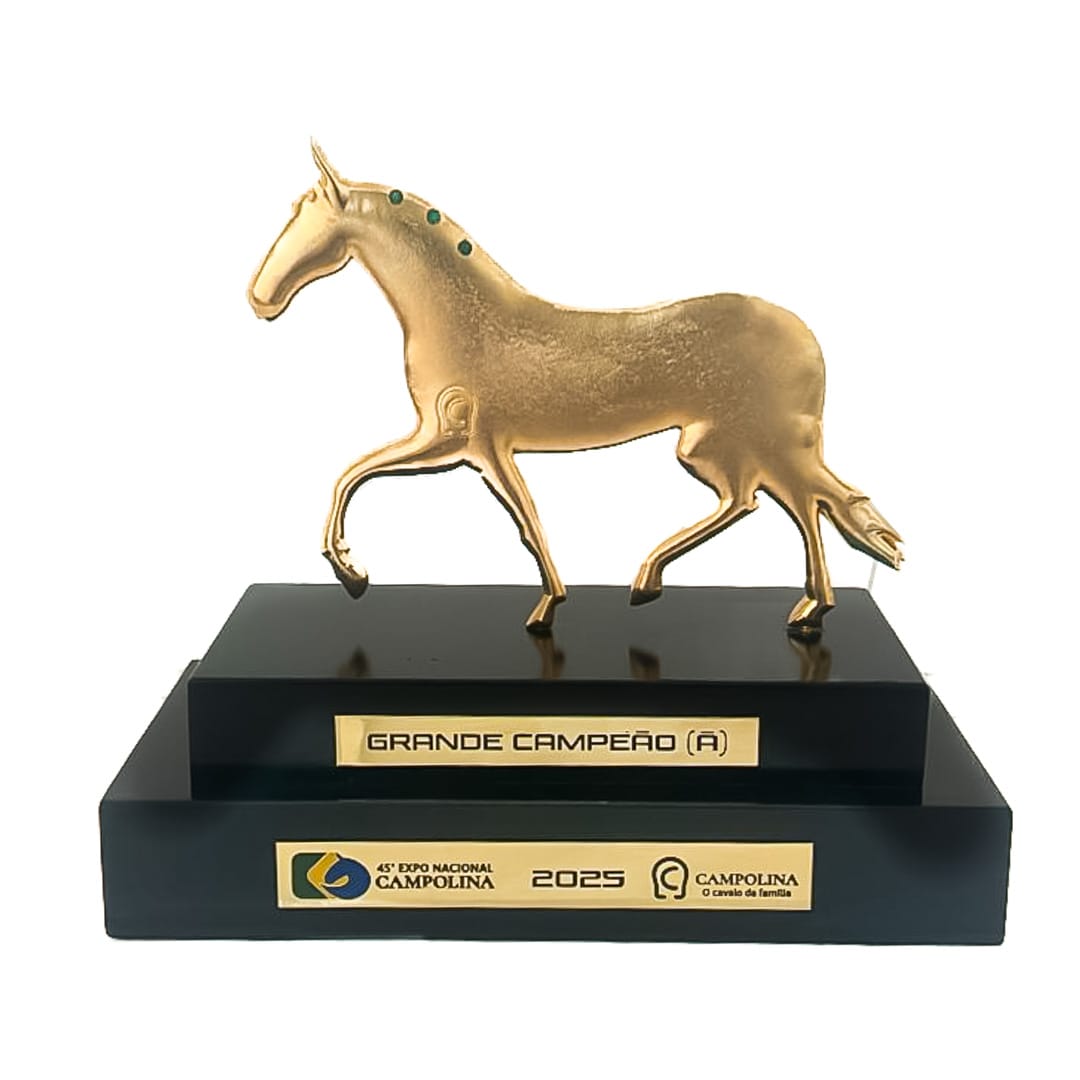 Troféu em metal 3D
